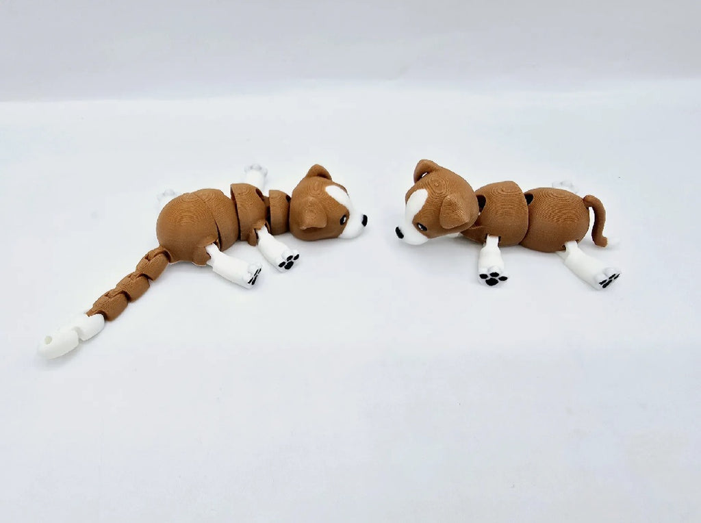 Tashentier Beagle