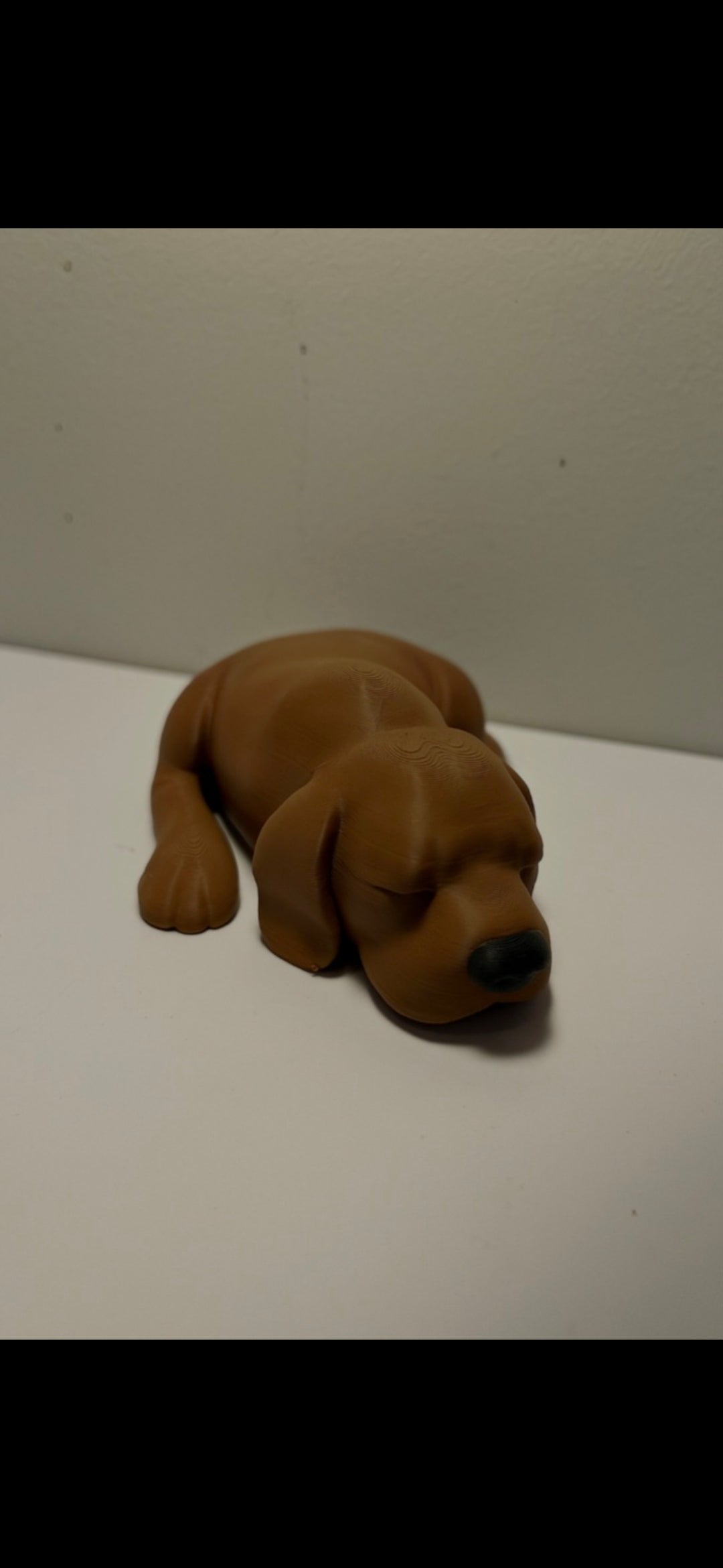 Shlafenden Hund