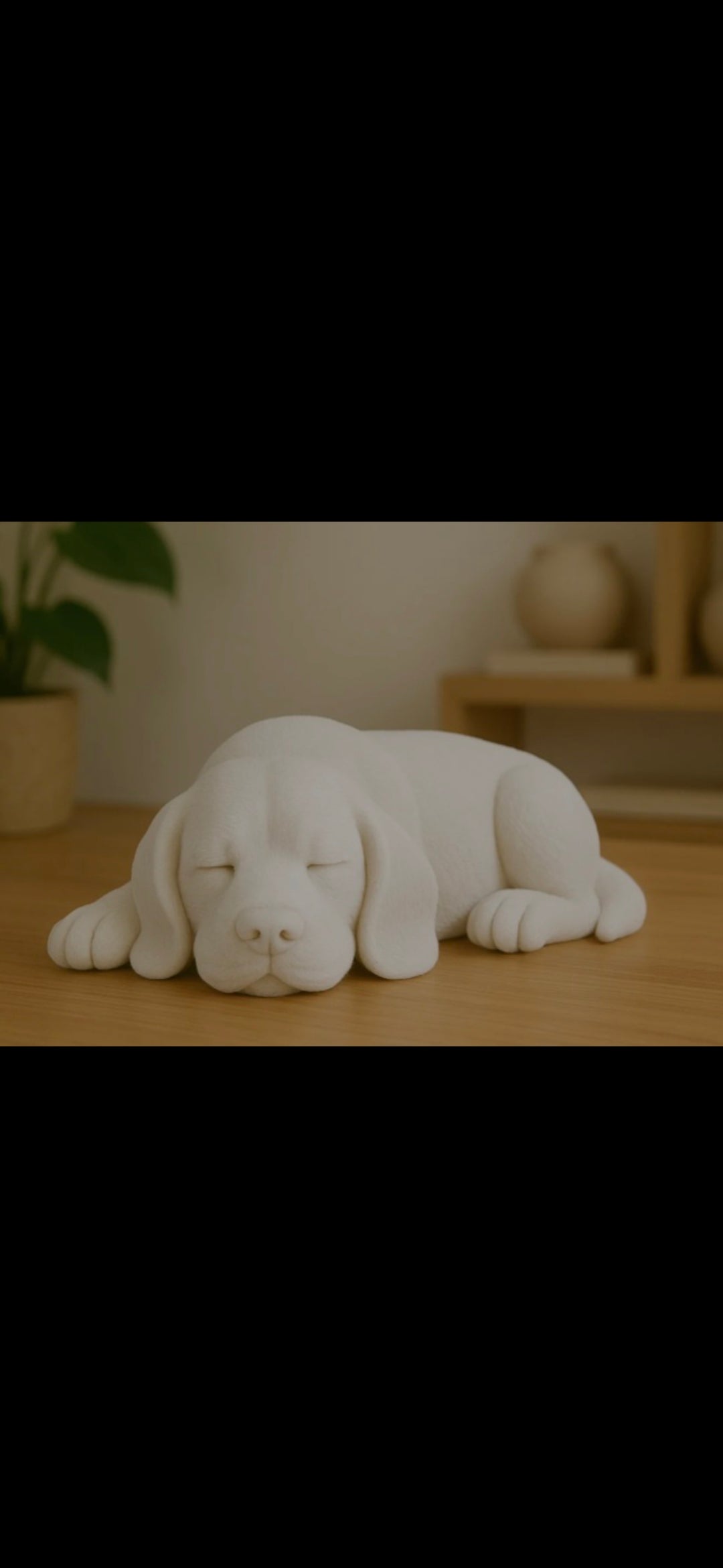 Shlafenden Hund
